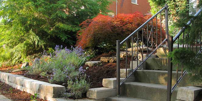 Photo of a colorful garden beside stairs